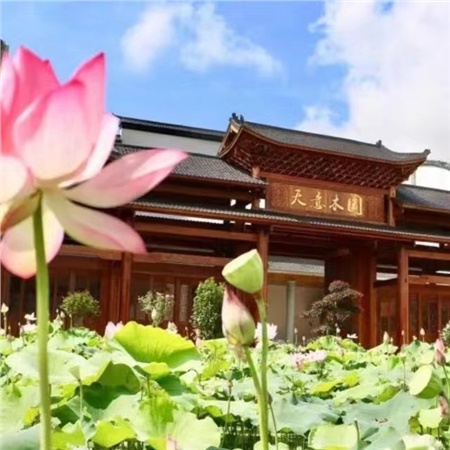 益陽(yáng)天意木國(guó)木文化博物館、金家堤、一碑五館一日游