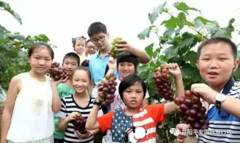 【我和帳篷有個(gè)約會】武功山二日游