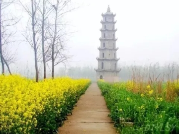 春暖花開南洞庭踏青、云夢(mèng)七色花洲一日游  