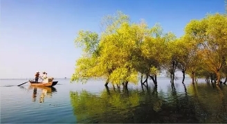 春暖花開南洞庭踏青、云夢(mèng)七色花洲一日游  