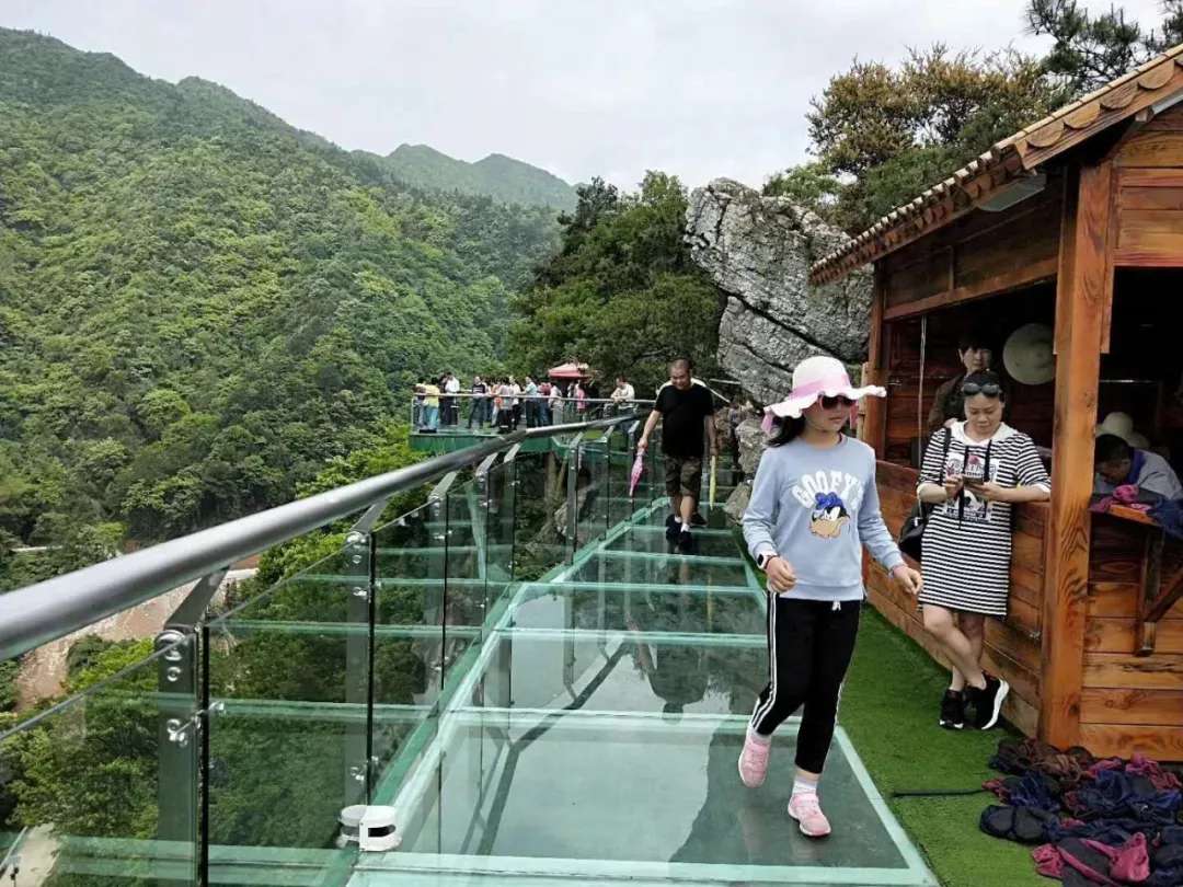 益陽安化?天下茶道、云臺山、茶香花海2日游
