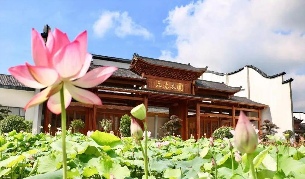 清溪村、天意木國景區(qū)、明清古巷、市博物館、胡林翼故居二日游